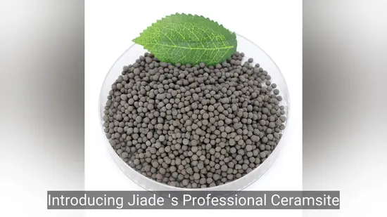  Preferred Non-Toxic Bio Ceramic for Slightly Polluted Source Water